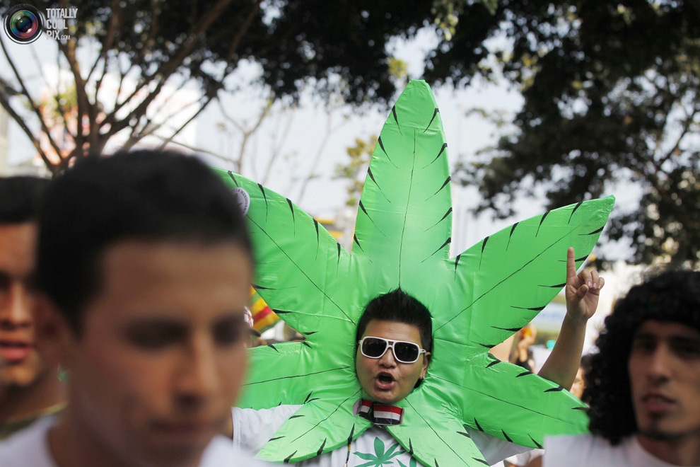 dope 019 Марши за легализацию марихуаны в разных странах мира