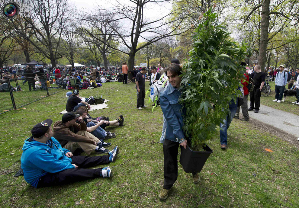 dope 023 Марши за легализацию марихуаны в разных странах мира