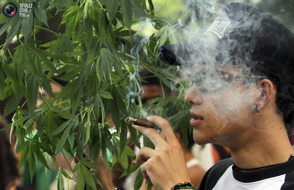 dope 036 Марши за легализацию марихуаны в разных странах мира