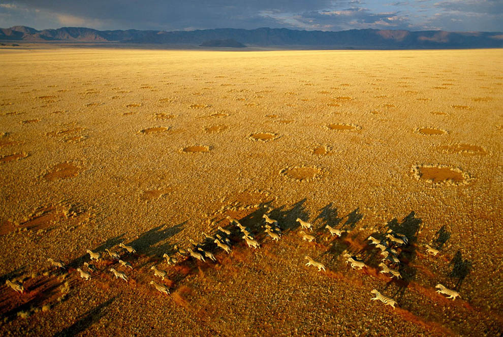 20000000 C высоты: Африканское портфолио фотографа Джорджа Стейнмеца