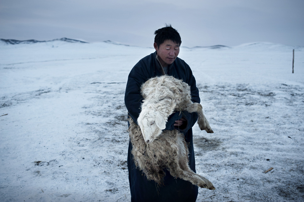 Монголия: потерянный рай