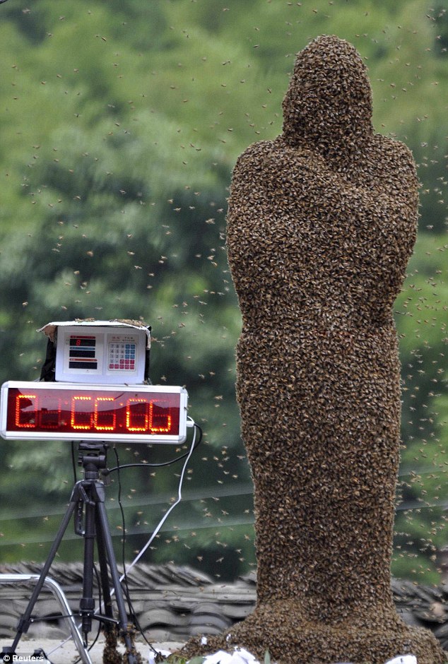 bee02 Китайца облепили 26 кило пчел