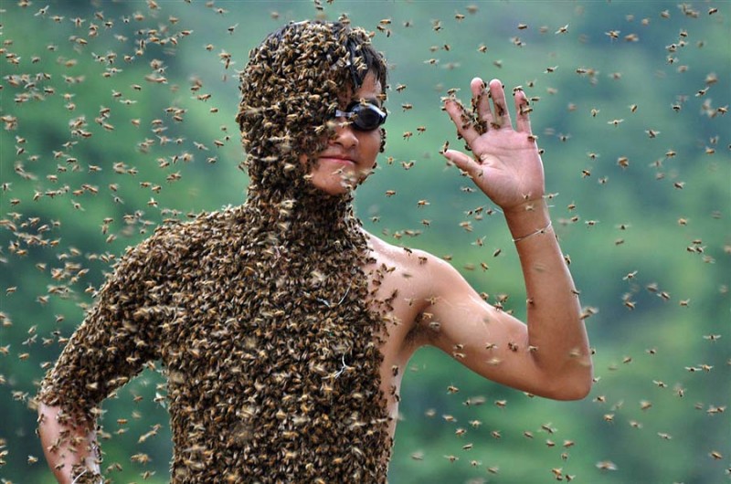bee07 800x530 Китайца облепили 26 кило пчел