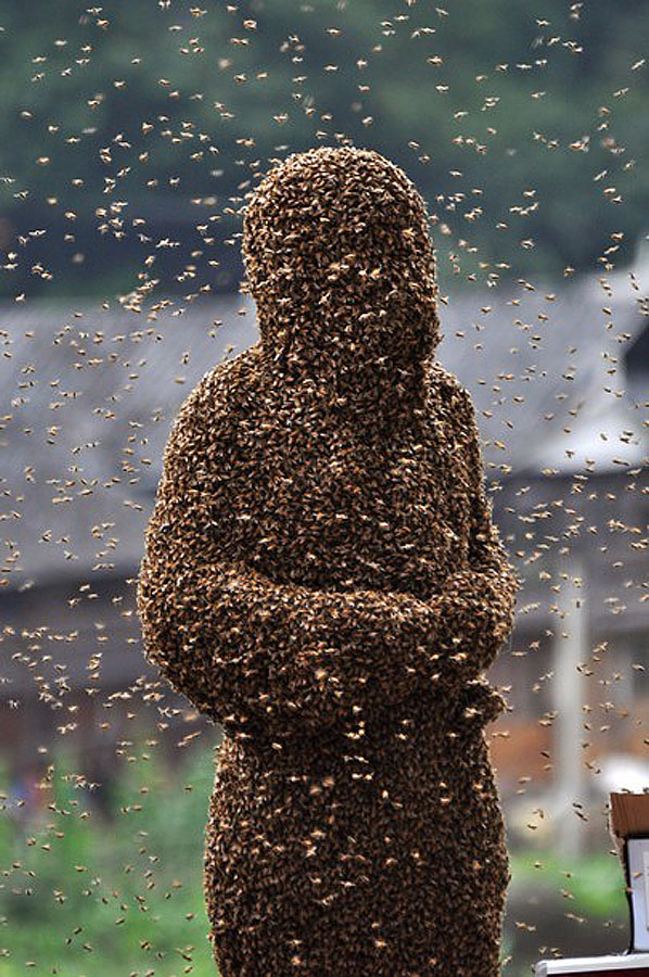 bee09 Китайца облепили 26 кило пчел