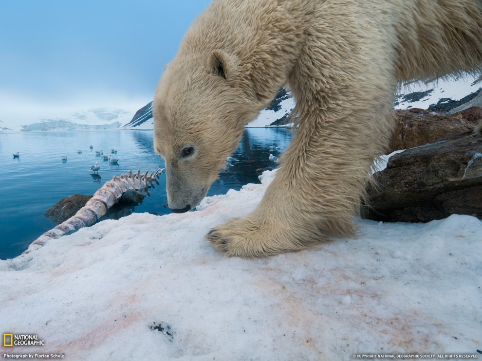 Фото National Geographic за июль 2011