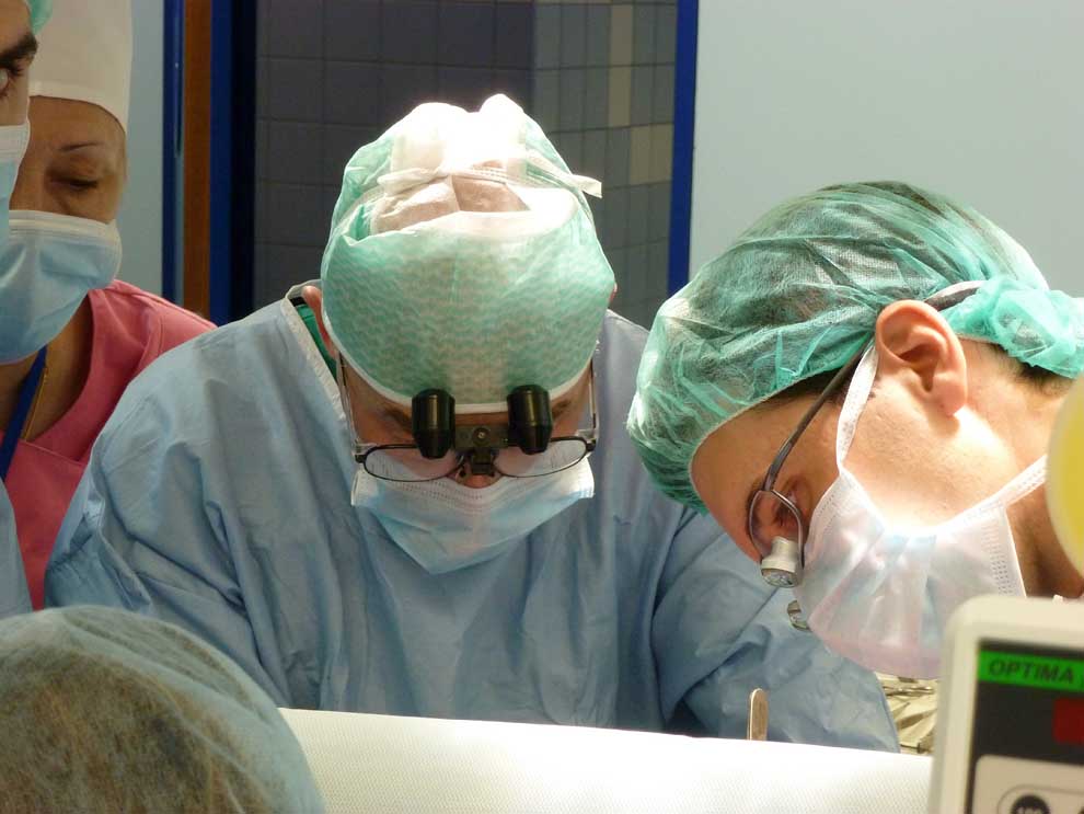 313 Один день из жизни трансплантолога