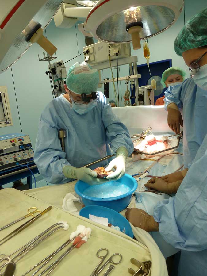352 Один день из жизни трансплантолога