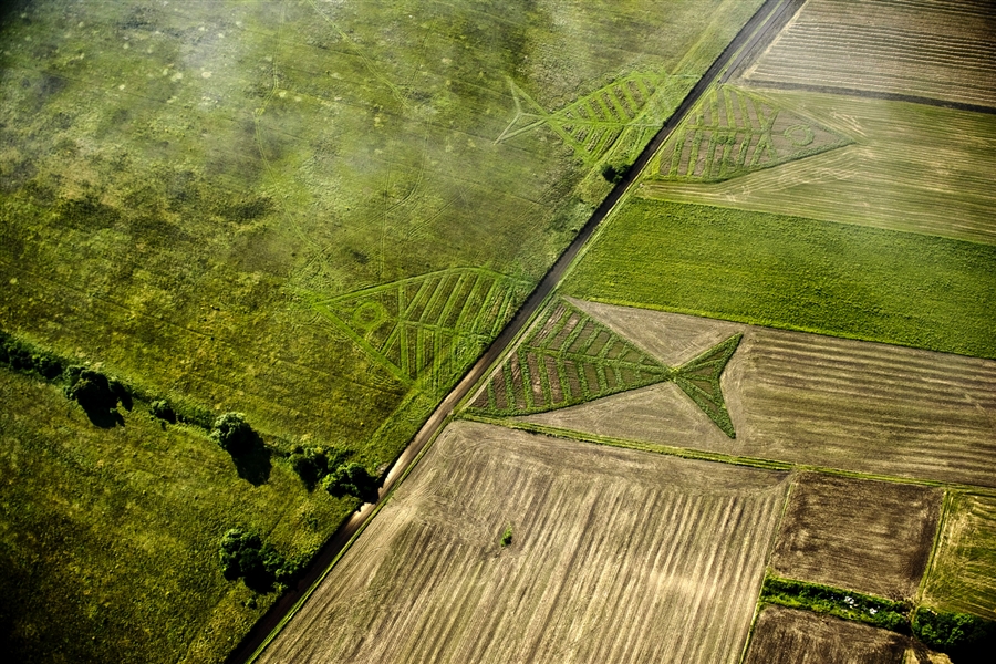 pb 110823 land art project eg 02.photoblog900 Гигантские рыбы на польско украинской границе