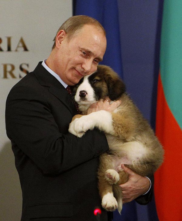 156606 russias prime minister putin hugs a bulgarian shepherd dog after recei Путин   любитель собак