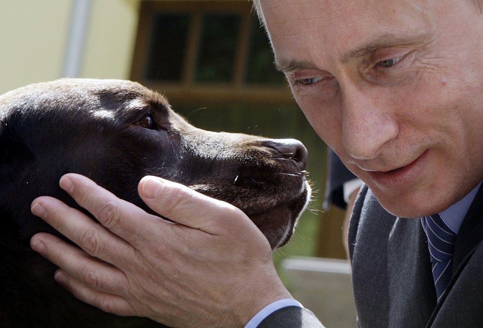 156617 russias prime minister vladimir putin pets labrador dog tonik during h     