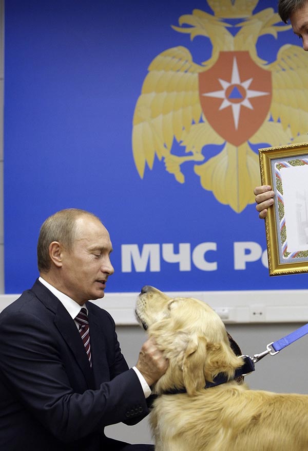 156623 russias prime minister vladimir putin strokes a rescue dog as he visit     
