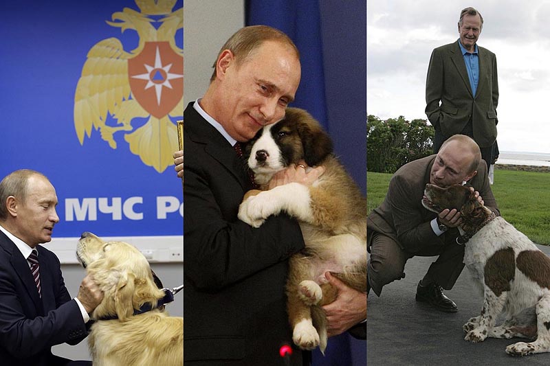 BIGPIC42 Путин   любитель собак