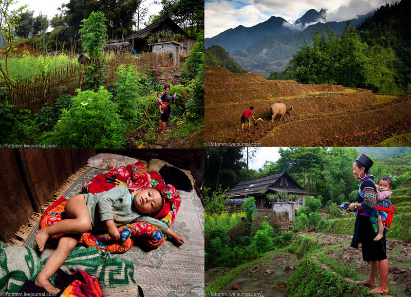 BIGPIC59 Северный Вьетнам: В крестьянском доме