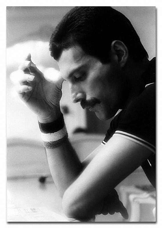 Freddie Mercury Самые яркие цитаты Фредди Меркьюри