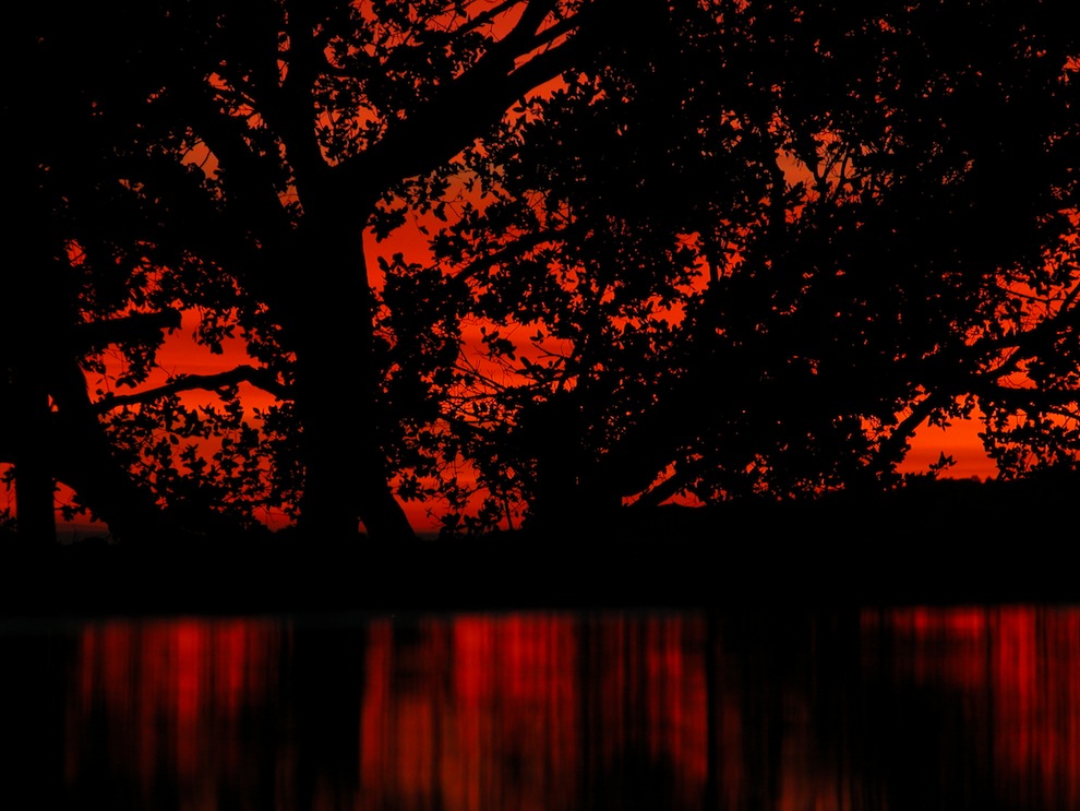 Sunsets 2169: Api di Langit