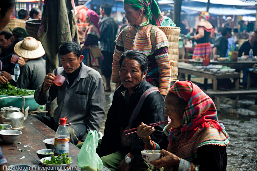 2532 pasar pertanian kolektif di Vietnam Pertambangan