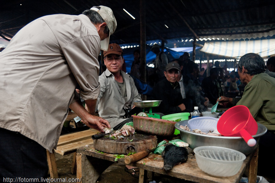 665 pasar pertanian kolektif di Vietnam Pertambangan