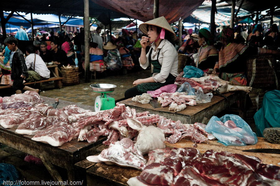 760 pasar pertanian kolektif di Vietnam Pertambangan