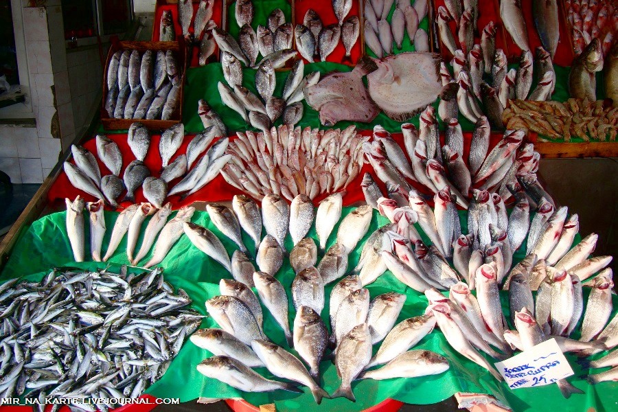 877 Стамбул: Рыбный рынок Kumkapi Balik Pazari