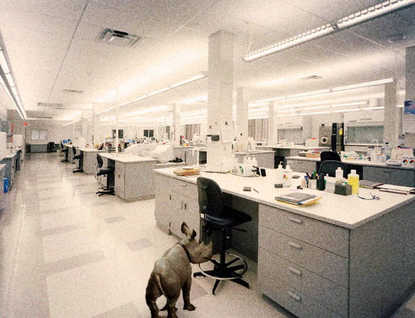 laboratory 600  Комнатный носорог