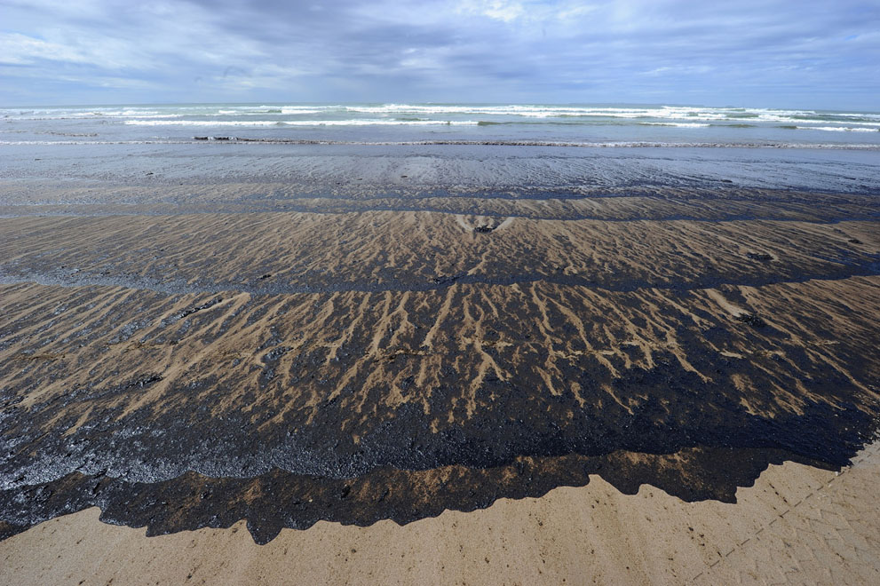 s n18 29.108.094 tumpahan minyak di lepas pantai Selandia Baru