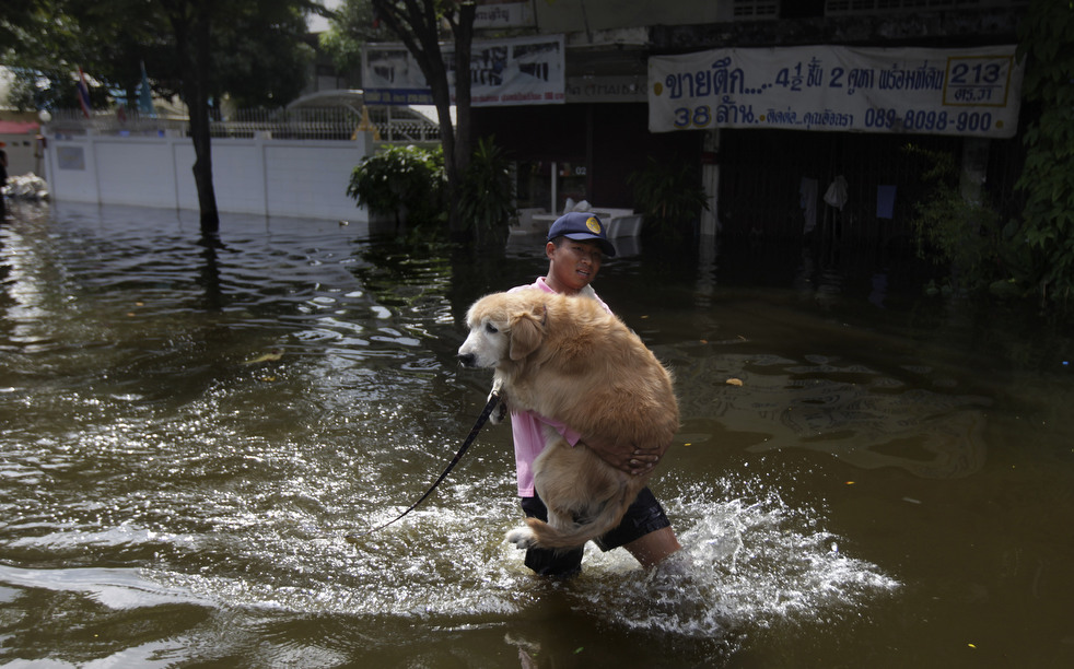 thailand banjir Banjir 1027 di Thailand, 14 di Bangkok terancam 