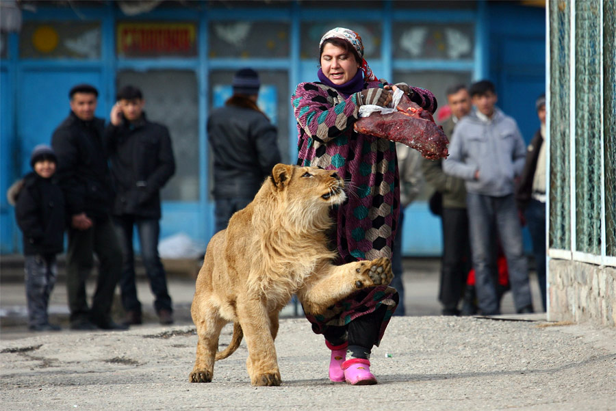 10 164 foto Reuters terbaik 2011 (Bagian 1)