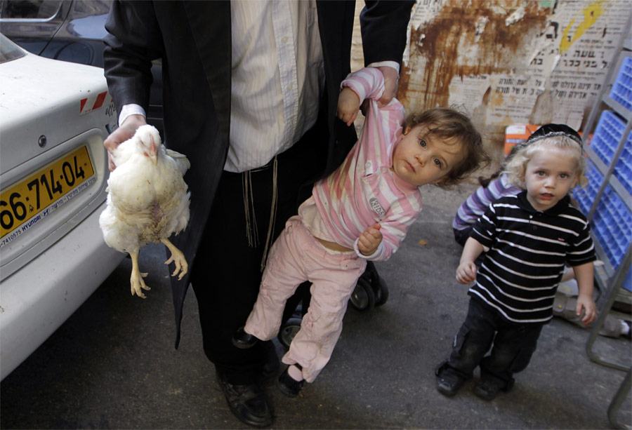 19 102 foto Reuters terbaik 2011 (Bagian 1)