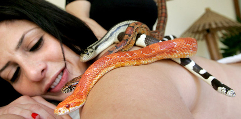 snakes Массаж с помощью змей