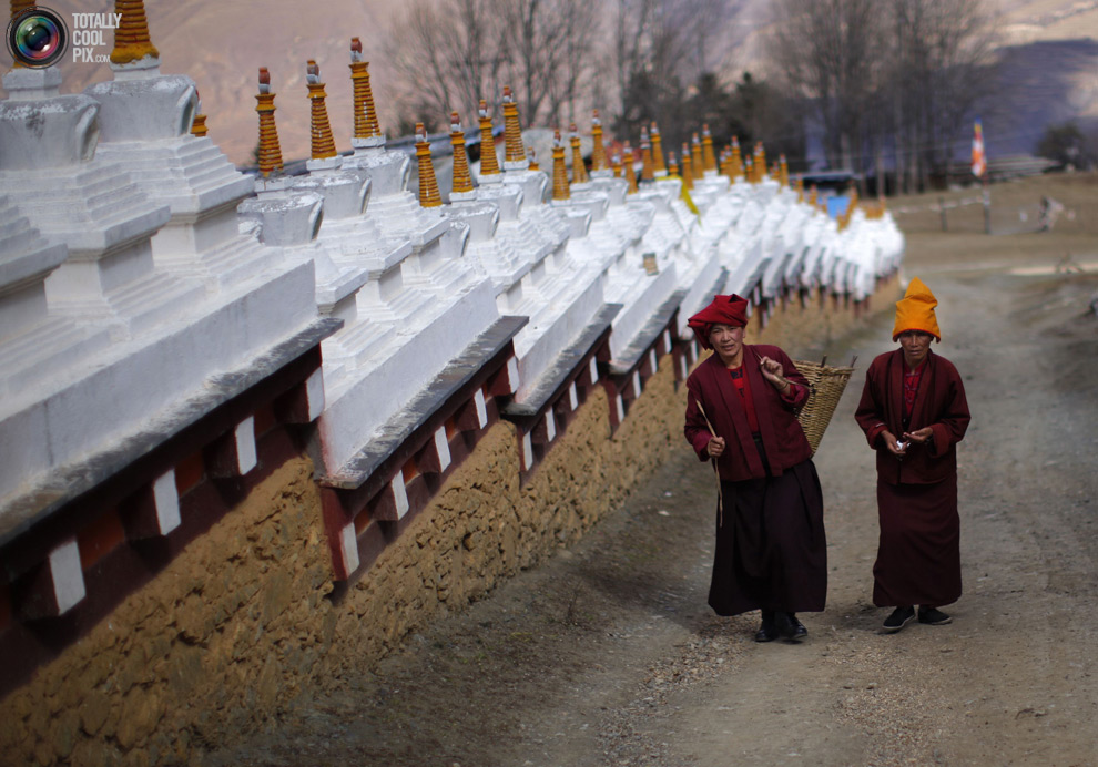 tibet 009 Тибетские монахини
