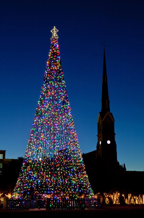 10133 Рождественские елки со всего мира