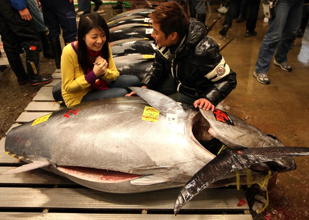 21140 Рыбный рынок Цукидзи