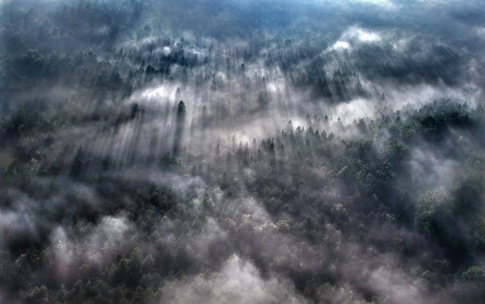 2125 100 изумительных фотографий тумана (часть 2)
