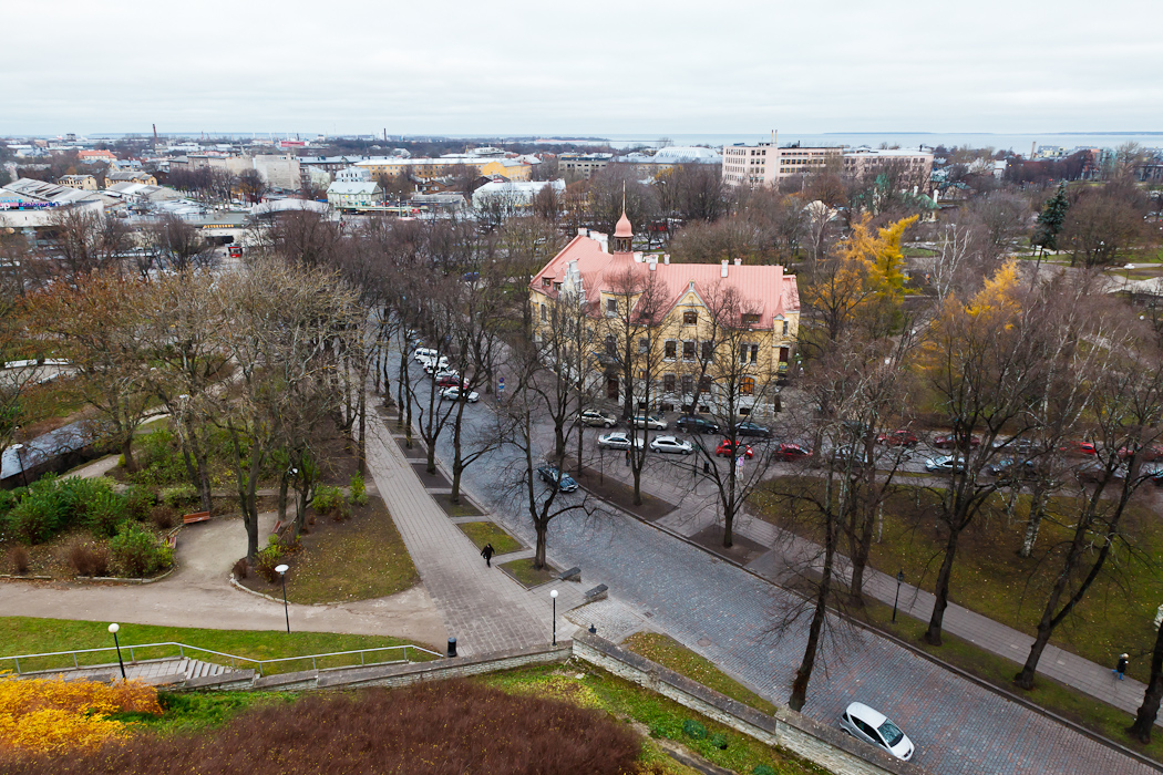 2444 Эстония, Таллин, Ноябрь 2011