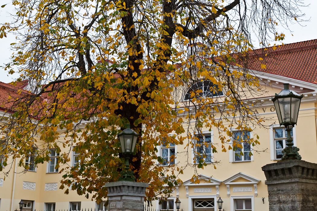 2838 Эстония, Таллин, Ноябрь 2011