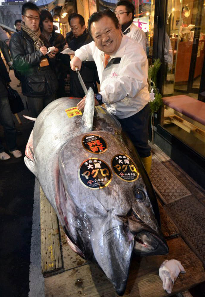 000 Hkg6765831 В Японии разделали гигантского тунца за 736 тысяч долларов