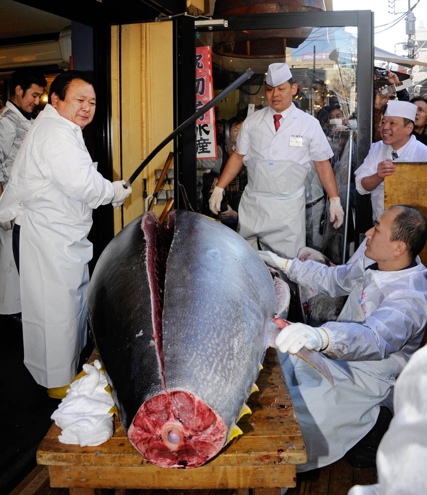 000 Hkg6766446 В Японии разделали гигантского тунца за 736 тысяч долларов