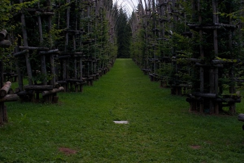 0023 Храм из растущих деревьев в Италии