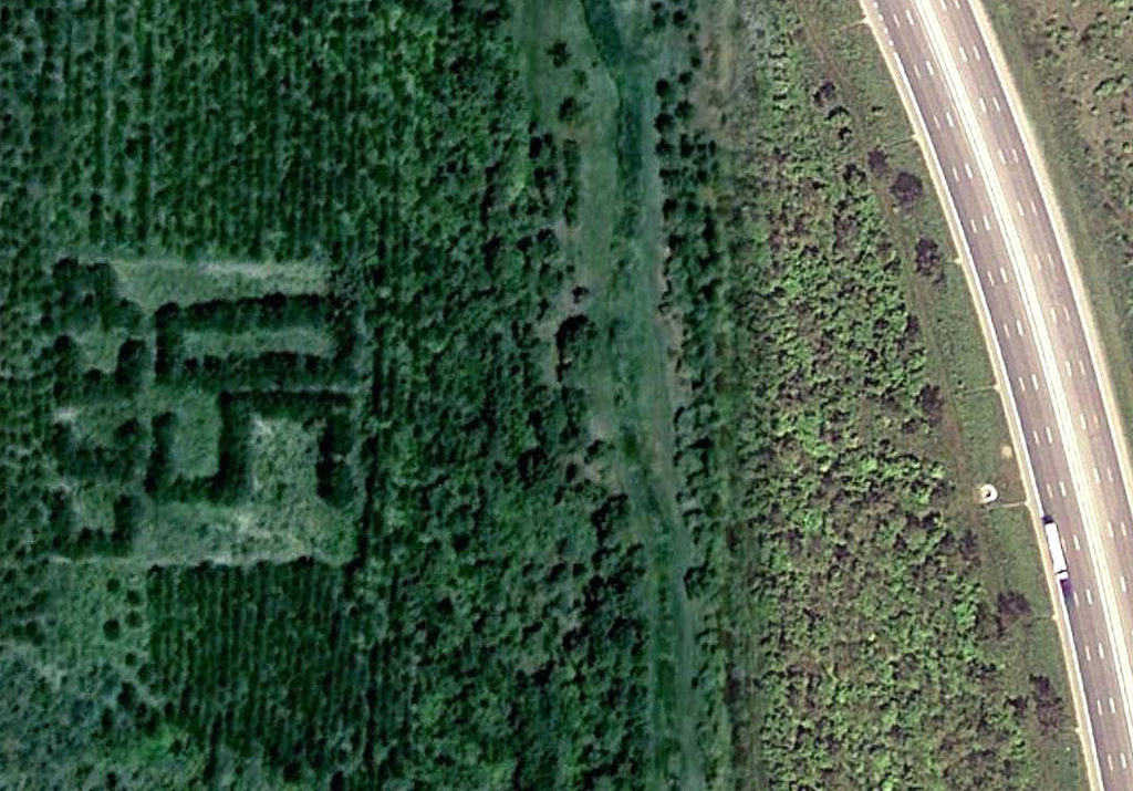 1044 Надписи из деревьев в разных уголках бывшего СССР