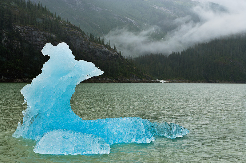 1301 Холодная красота Аляски от фотографа Рея Балсона