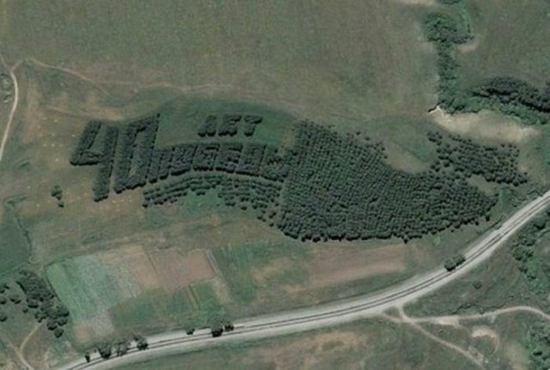 2326 Надписи из деревьев в разных уголках бывшего СССР