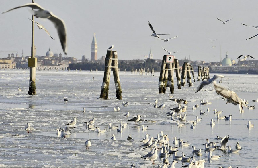 467751 Венецианские каналы впервые за 80 лет сковало льдом