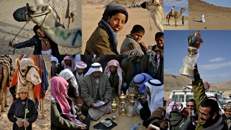 egipet Camel Race, а еще, как не спешить по бедуински