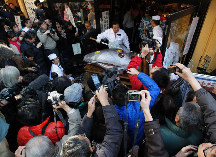 image 300542 galleryV9 evor В Японии разделали гигантского тунца за 736 тысяч долларов