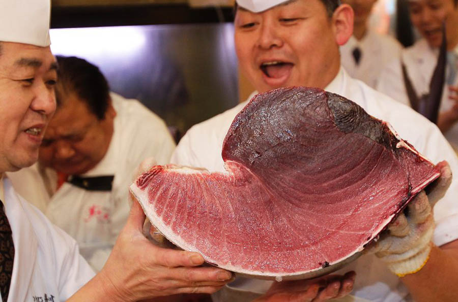 image 300750 galleryV9 jqdm В Японии разделали гигантского тунца за 736 тысяч долларов