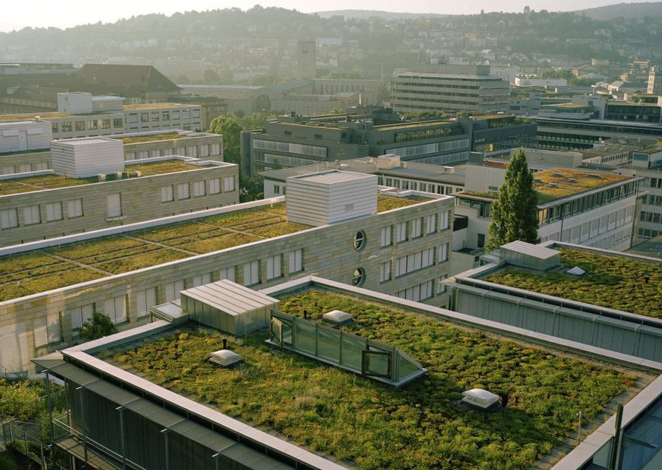 roof10 Сады на крышах