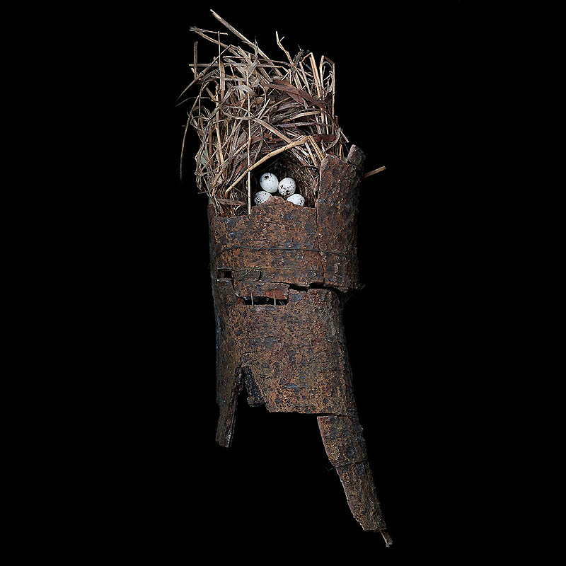 1166 Шедевры природной архитектуры   птичьи гнезда