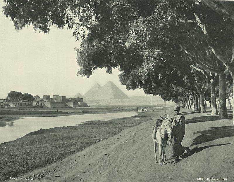 1320 Фотографии из Египта 1870 х годов 