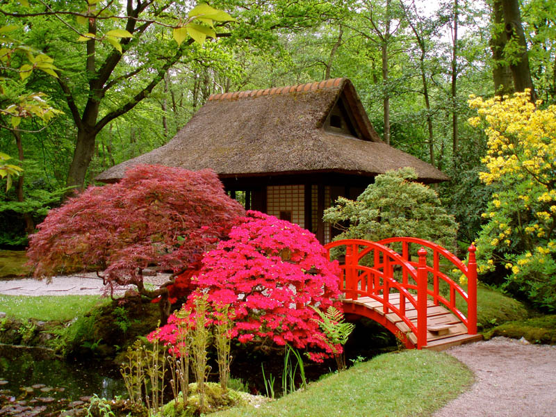 1360 20 японских садов со всего света