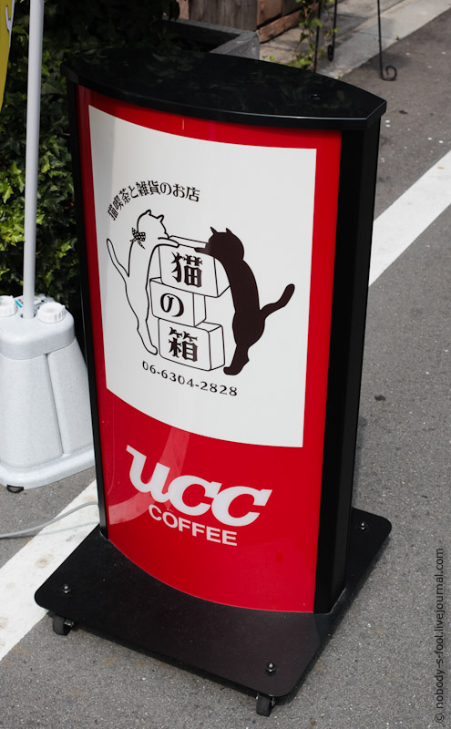 139 Кото кафе в Осаке 2